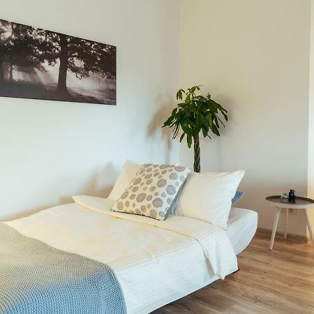 Bright&Spacious Central Apartment- Piata Amzei Bucarest Exterior foto